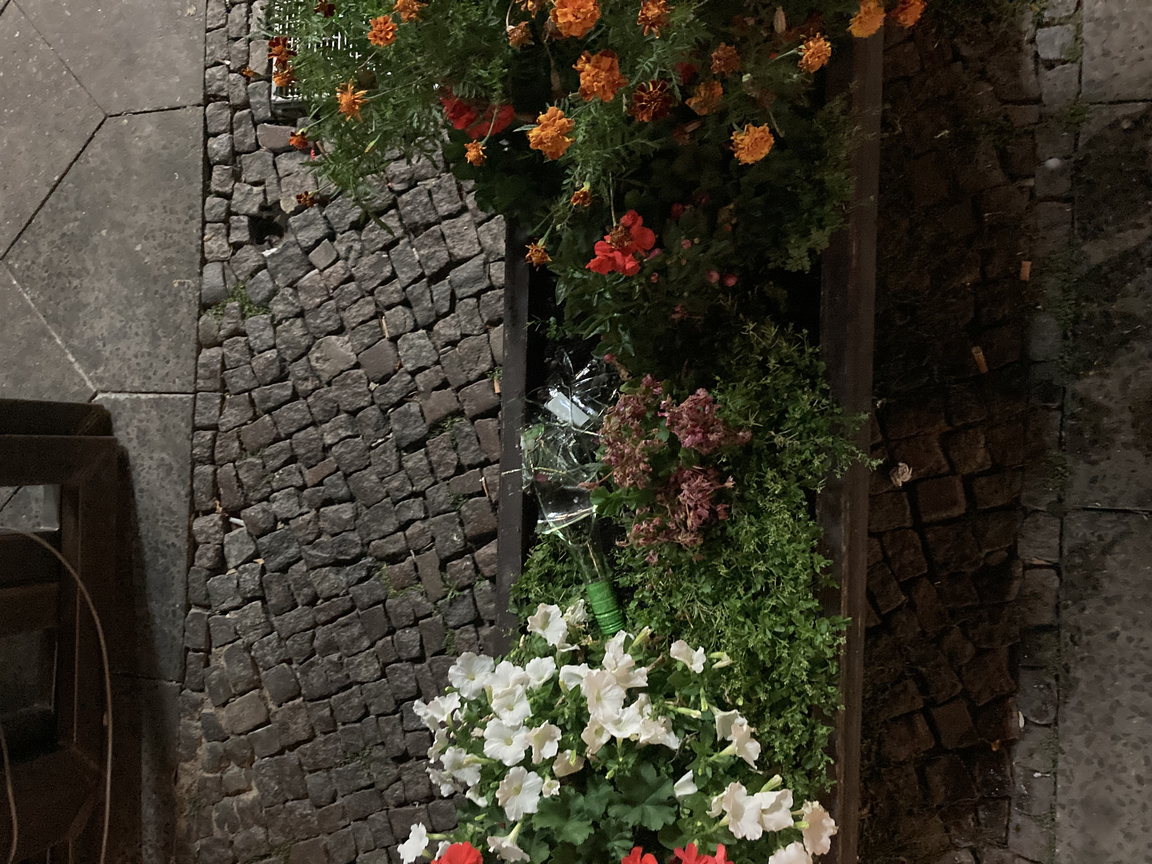 A Bottle of Aperol in Mid October